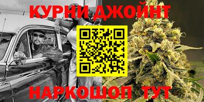 гидра Будённовск