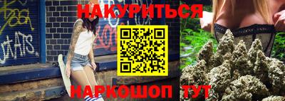 гидра Будённовск