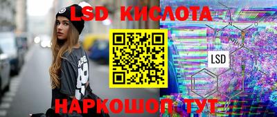 гидра Будённовск