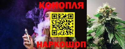 гидра Будённовск