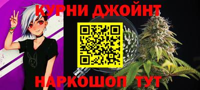 гидра Будённовск