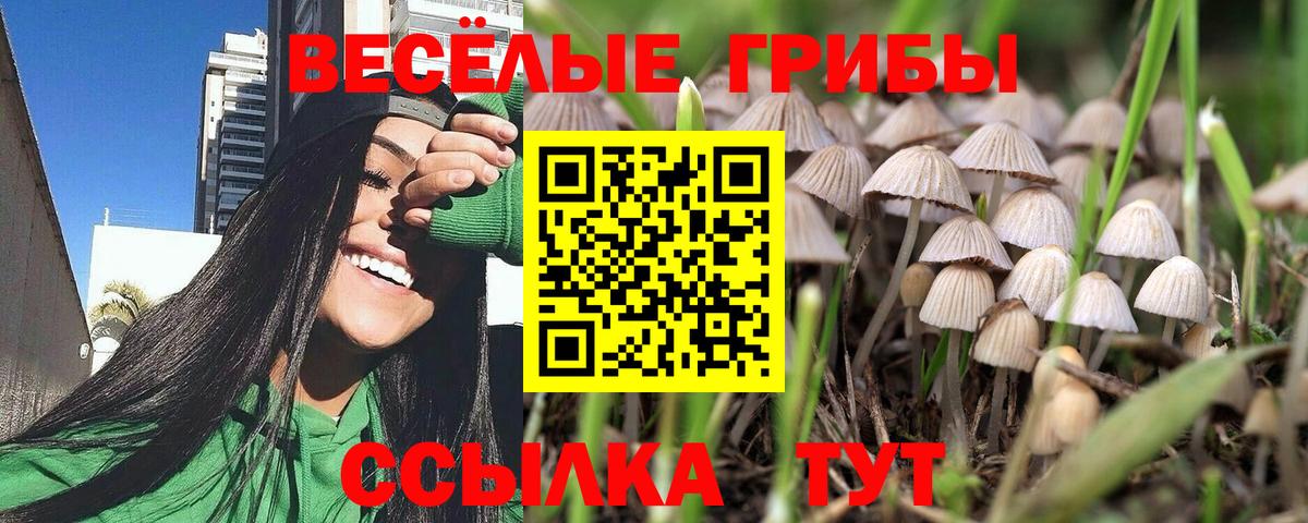 Ростов-на-Дону  Псилоцибиновые грибы Psilocybe  Вход с VPN  Галлюциногенные грибы мухоморы 